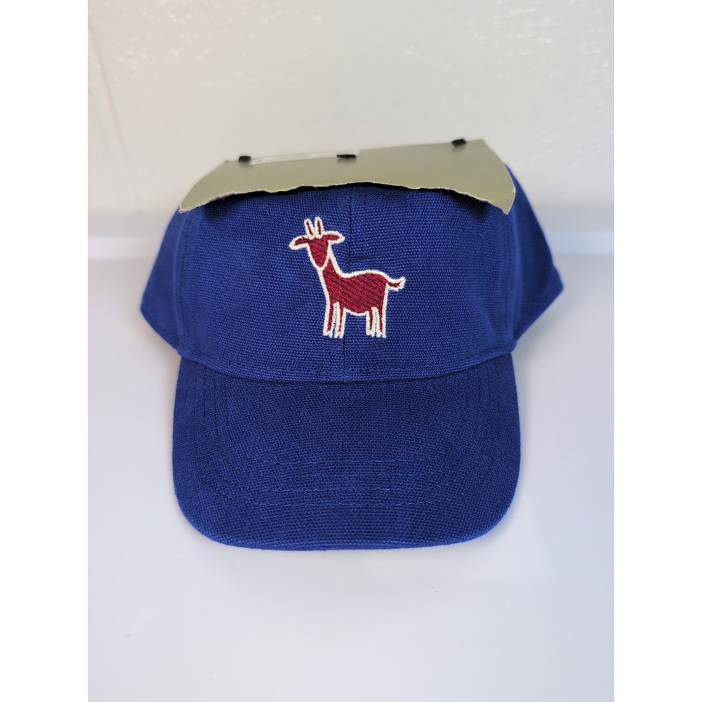 Goodfellow And Co. Kids Hat One Size Blue Adjustable New